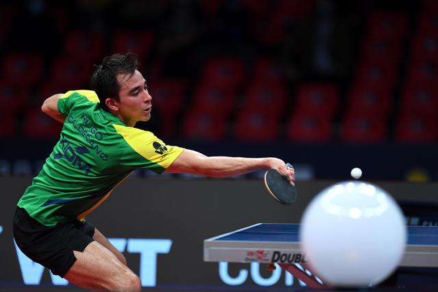 被视为蓝狐 被视为蓝狐