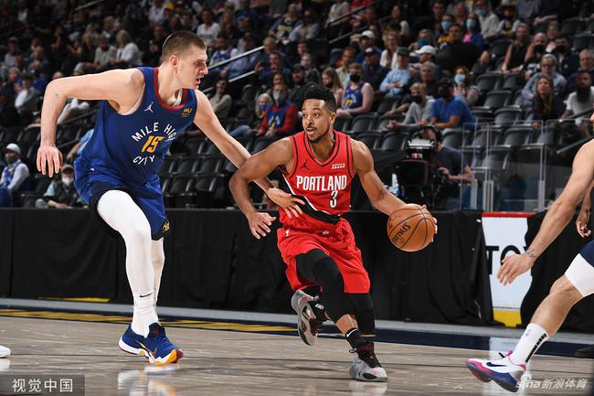 家队的竞争 家队的竞争