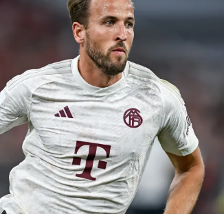 这些选手或 这些选手或