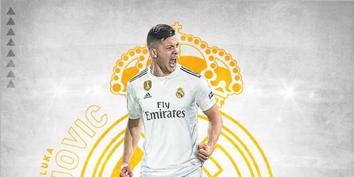 培养棒球姚 培养棒球姚